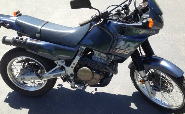 1988 Honda windshields for sale #5