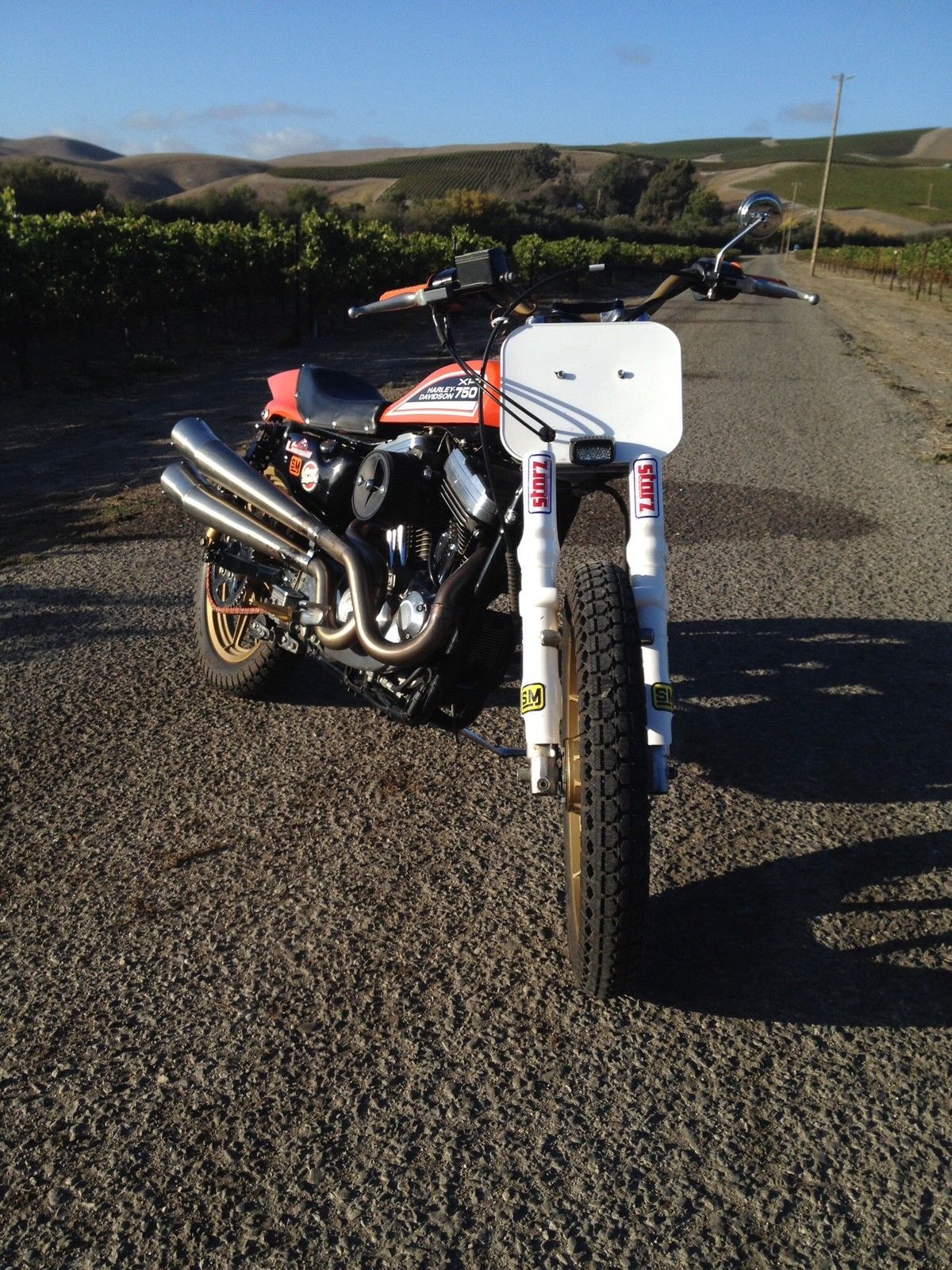 xr1200 custom